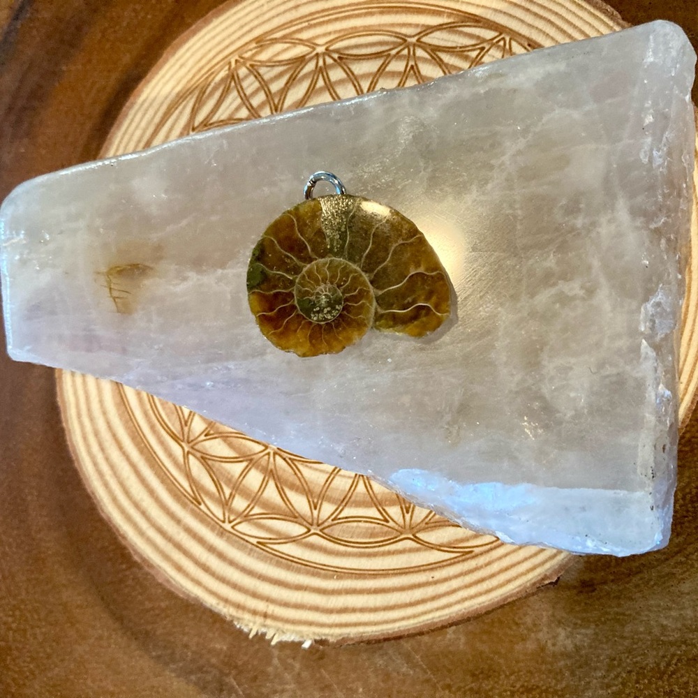 Ammonite Pendant